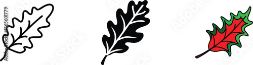 Oak Leaf Variations Line Art, Silhouette, Autumn Colors