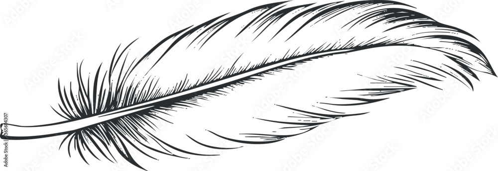 Obraz premium Detailed black and white feather sketch for nature-themed designs.