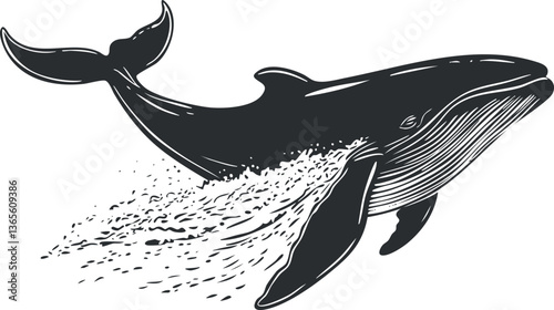 Black and white whale illustration for marine life and wildlife themes.