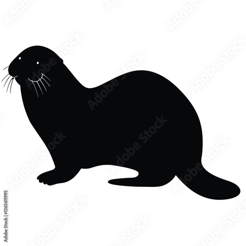 sea lion on the beach