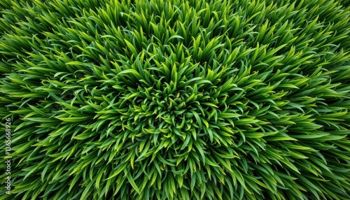 Design a lush grass texture with vibrant greens and varying heights for a realistic outdoor feel.