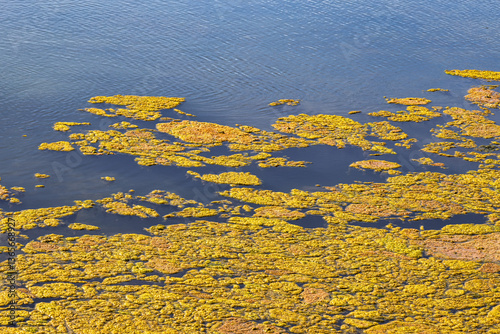 Landscape view of Parque Natural da Ria Formosa near Faro, Portugal