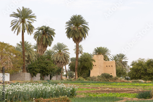 Beautiful landscape in the surroundings of Najran in Saudi Arabia