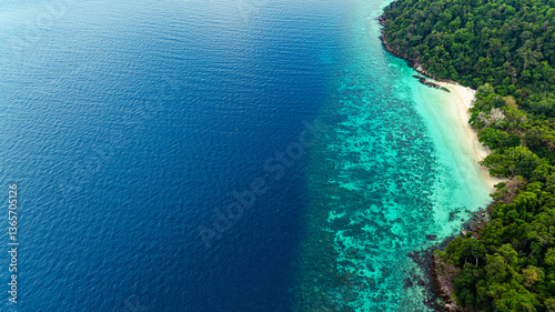 Fototapeta Naklejka Na Ścianę i Meble -  A stunning aerial view of a tropical coastline featuring lush green forest, a vibrant turquoise coral reef, and deep blue ocean waters. the natural beauty of marine and coastal ecosystems.