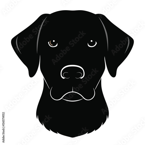 Labrador Retriever Dog Front view of head silhouette Vector illustration
White Background