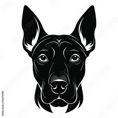 Thai Ridgeback dog Front view of head silhouette Vector illustration
White Background