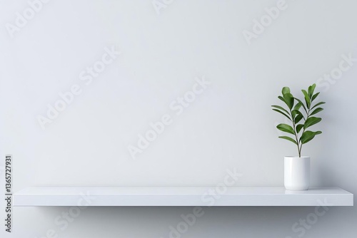 Minimalist interior with a green plant on a white shelf against a light wall.
