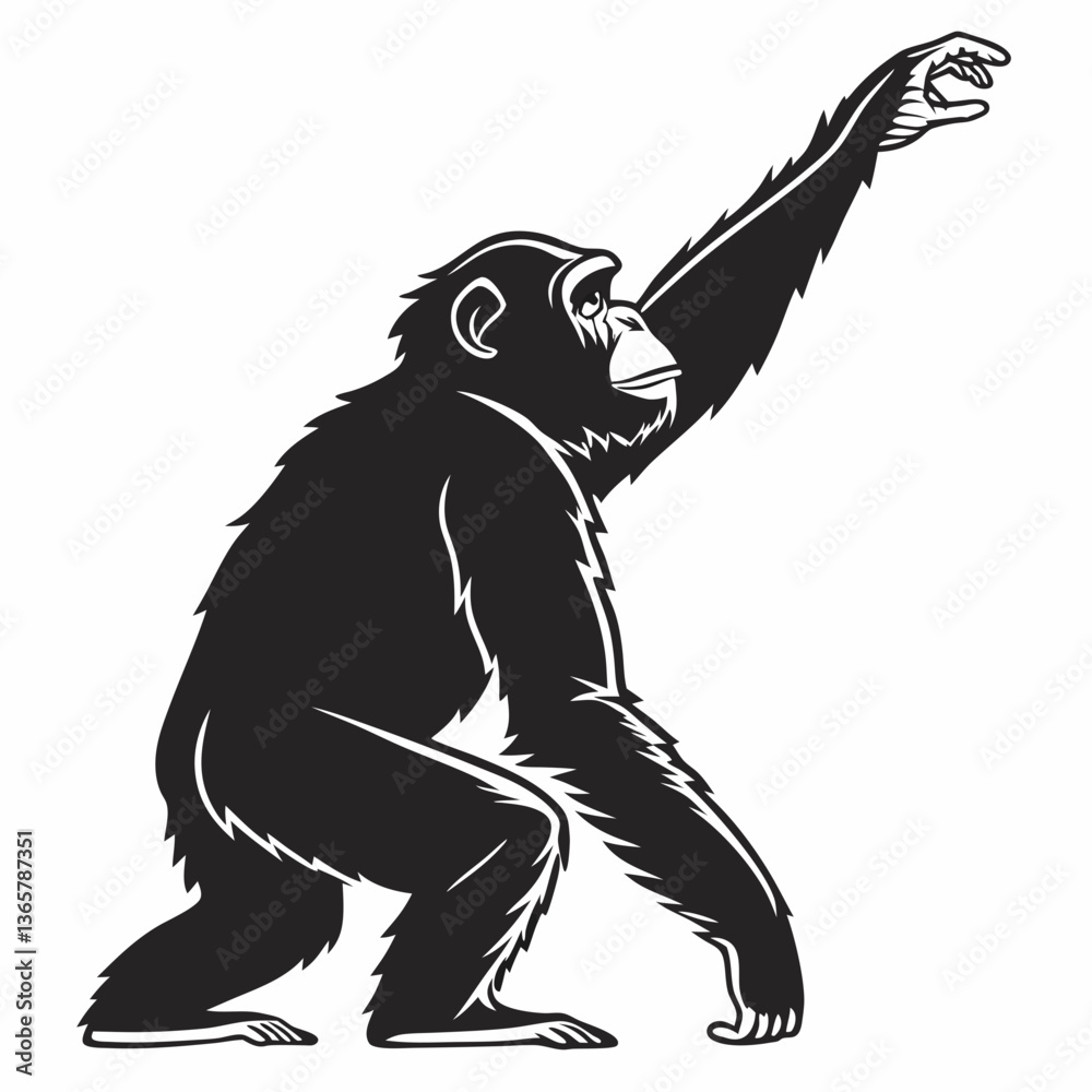 Fototapeta premium chimpanzee sihouette black vector