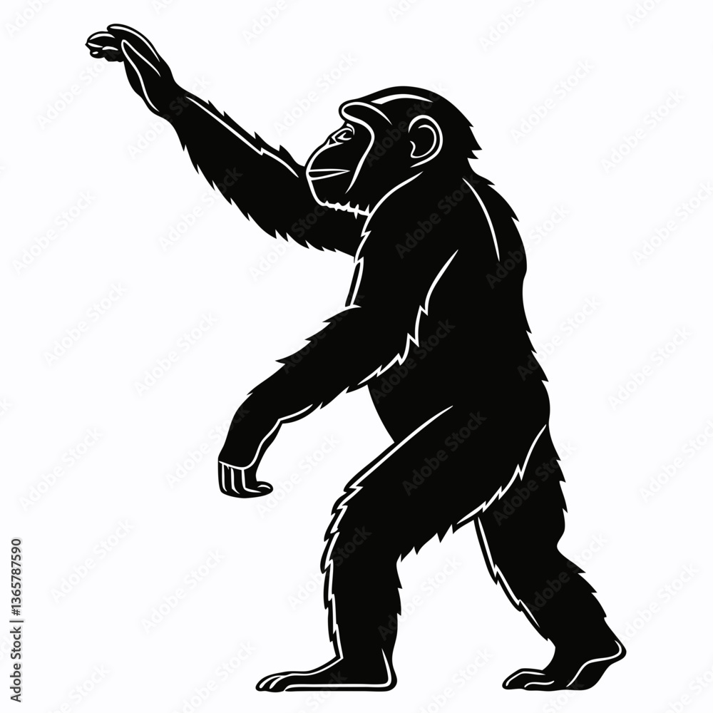 Fototapeta premium chimpanzee sihouette black vector