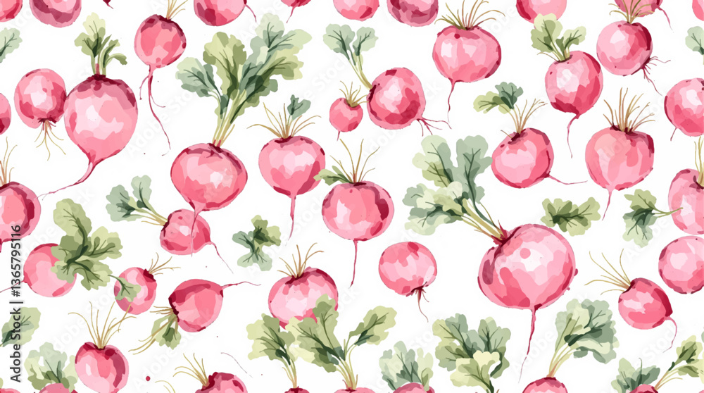 Watercolor radish on white background