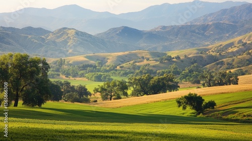 US Nature Landscape View in California's Tulare County