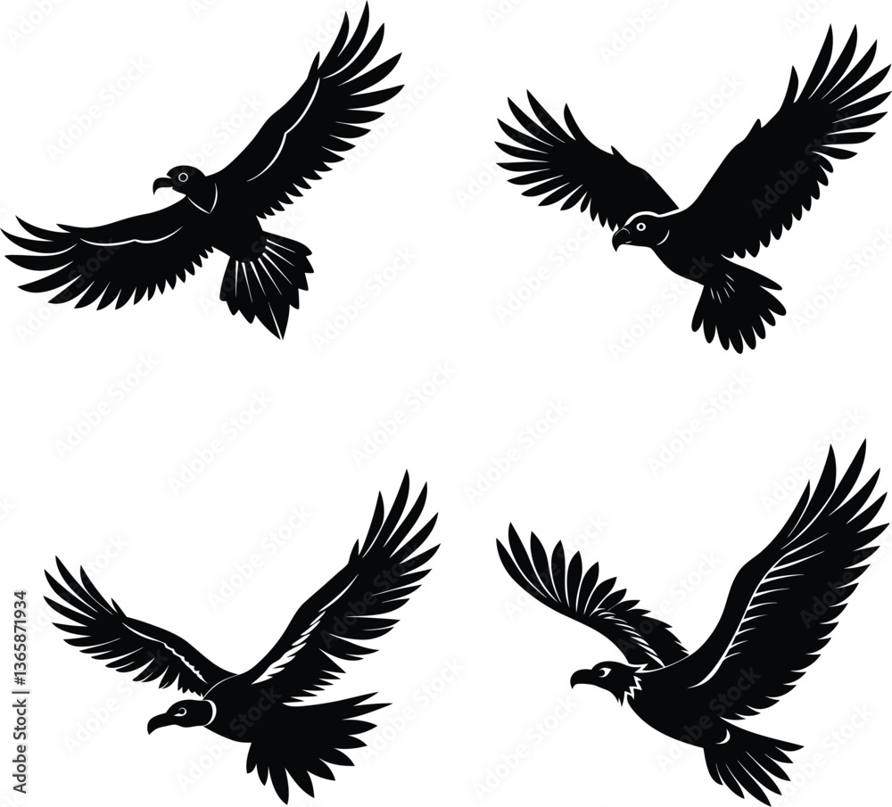 Fototapeta premium Set of ebon condor bird vector..