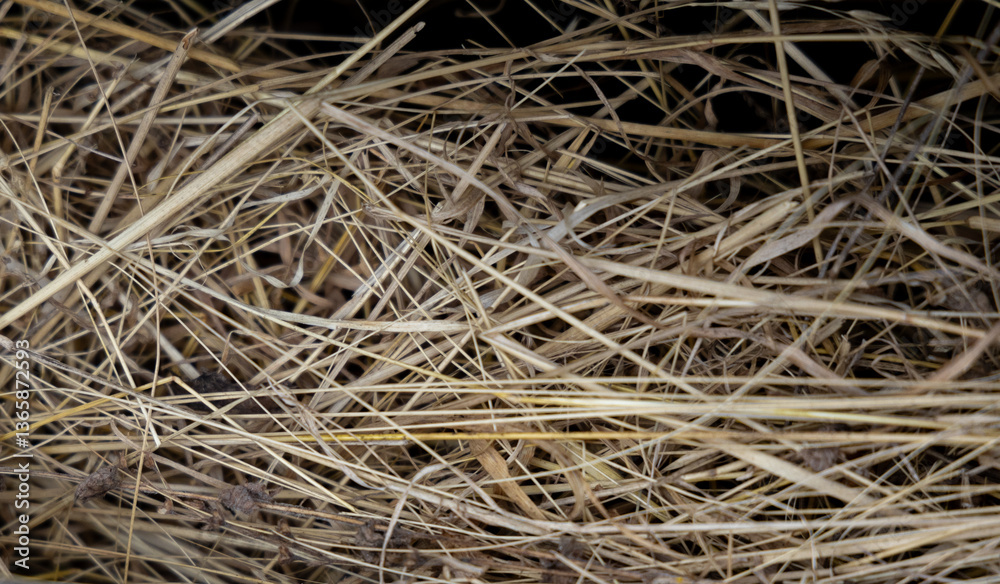 Dry hay in storage Dry hay in storage