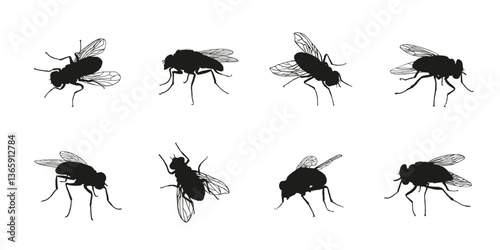 fly silhouettes on the white background