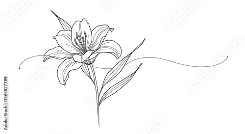 Wallpaper Mural Drawing of Single Lily Flower with Leaves on White Background Torontodigital.ca