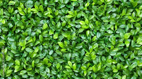 Wallpaper Mural Lush Green Leaf Wall Texture Background Seamless Pattern Torontodigital.ca