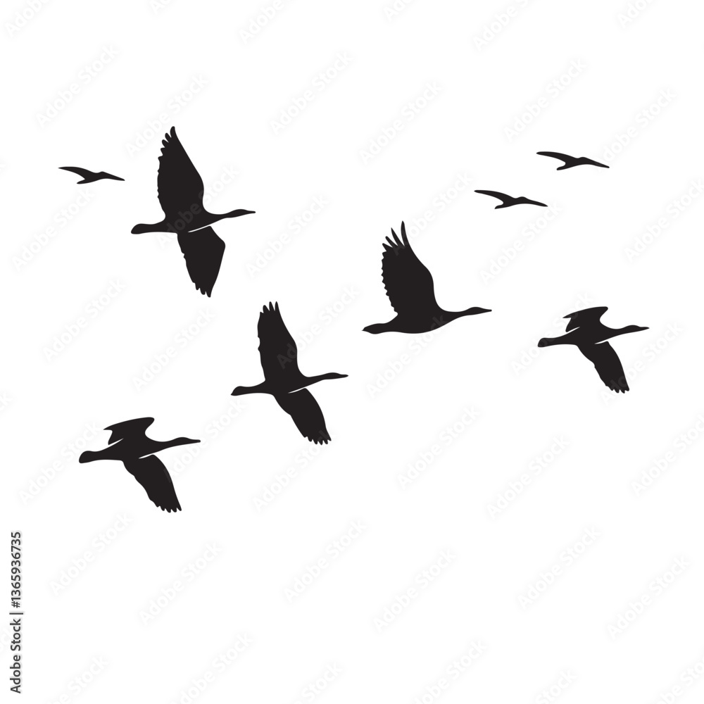 Fototapeta premium Flying birds silhouettes on transparent background. Vector illustration
