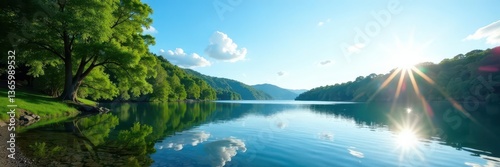 Clear blue sky, sunlit lake reflects trees, calm waters , trees reflection, trees