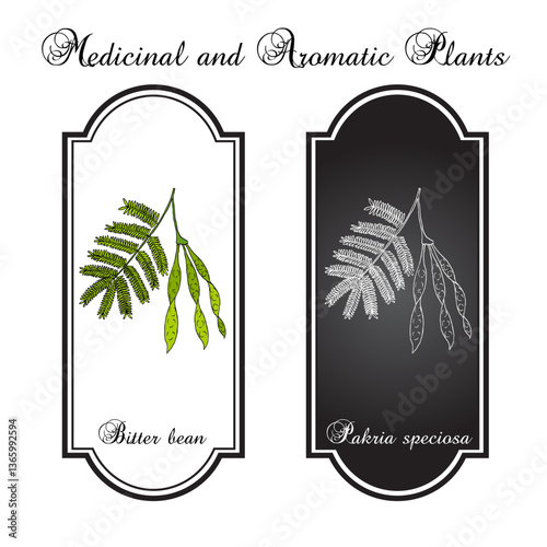 Bitter bean, or twisted cluster bean (Parkia speciosa), edible and medicinal plant