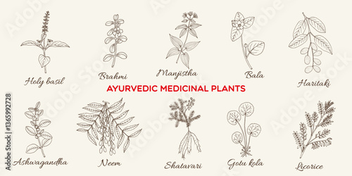 Collection of edible and medicinal plants