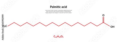 Palmitic acid or hexadecanoic, molecular structure formula, suitable for education or chemistry science content