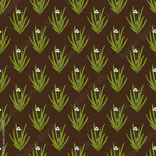 Seamless pattern with hand drawn Water soldier or water pineapple (Stratiotes aloides), aquatic medicinal plant.