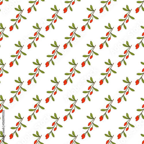 Seamless pattern with hand drawn Chinese Boxthorn (Lycium chinense), edible and medicinal plant. Vector illustration