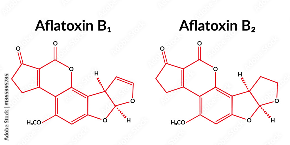 Obraz premium Aflatoxin B1 and B2 molecular structure formula, suitable for education or chemistry science content. Vector illustration