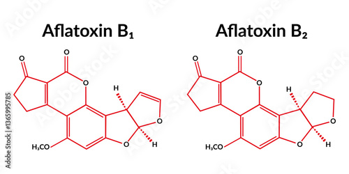 Aflatoxin B1 and B2 molecular structure formula, suitable for education or chemistry science content. Vector illustration