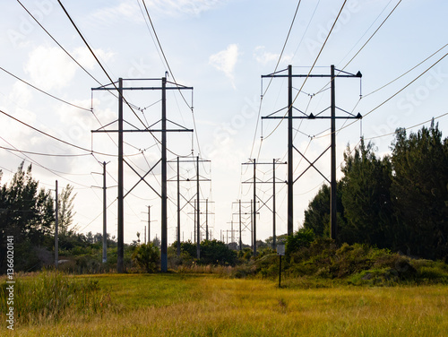 Power Lines 