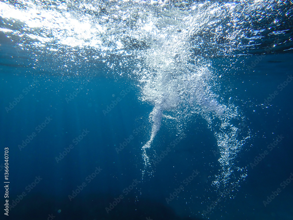 Fototapeta premium bubbles, bubble, water, underwater, sea, air, deep, undersea, under, background, wave, liquid, clear, clean, ocean, nature, texture, oxygen, blue, white, effect, transparent, foam, aquarium, aqua.