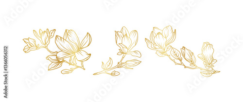 Luxury gold magnolia flowers background. Floral pattern tropical in line art style for greeting, invitation, wedding card, wall art, wallpaper and print. Vector illustration