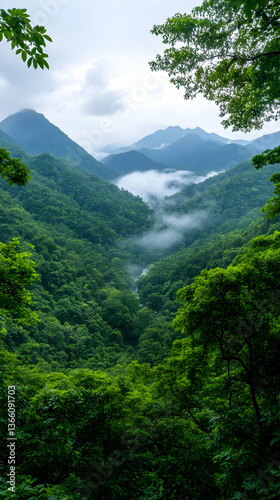 Misty mountain valley shrouded in lush green foliage