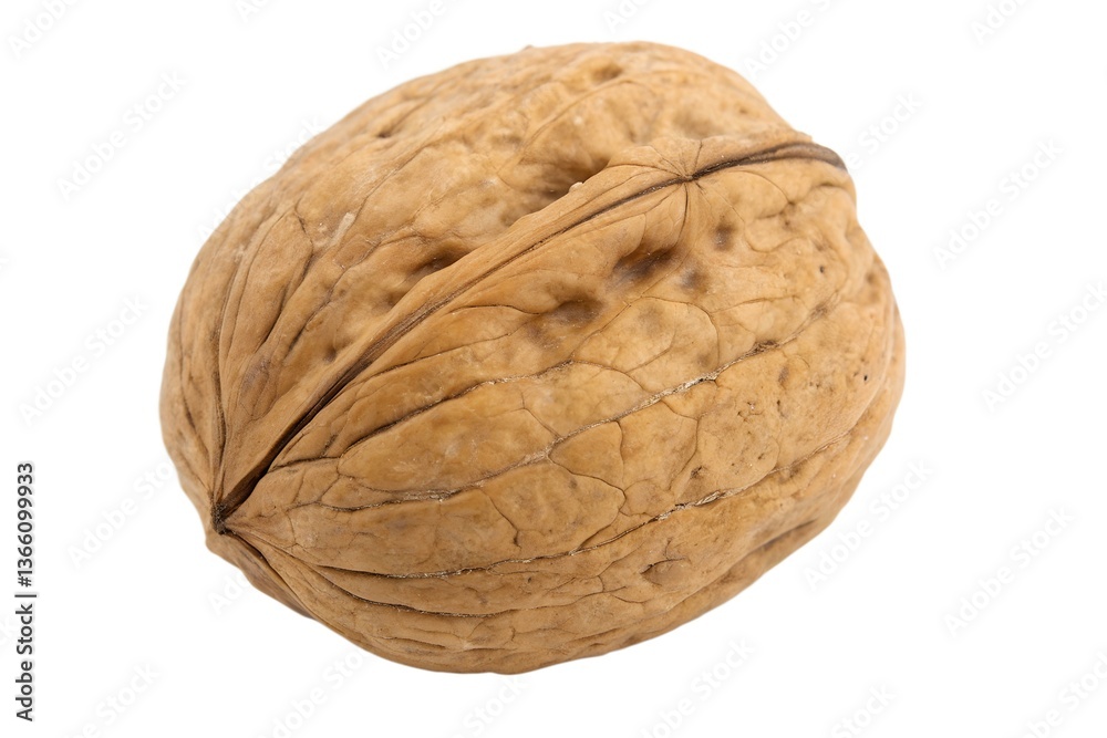 Walnut in shell Walnut in shell