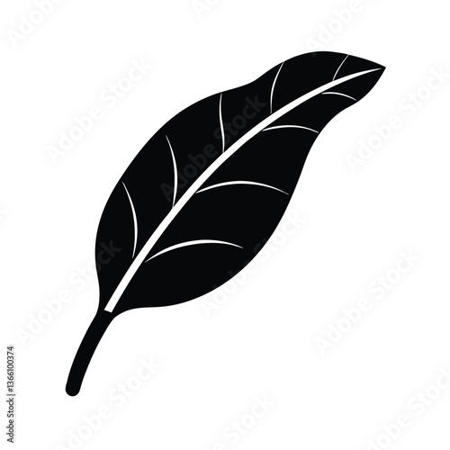 Isolated black feather and light gray leaf vector illustration