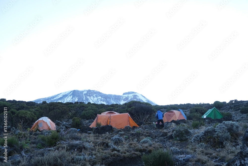 Scenery of Shira Camp on trail to Kilimanjaro with tents and silhouette of Mount Kilimanjaro on horizon, Machame Route, Tanzania