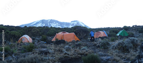 Obraz na płótnie Scenery of Shira Camp on trail to Kilimanjaro with tents and silhouette of Mount Kilimanjaro on horizon, Machame Route, Tanzania w salonie