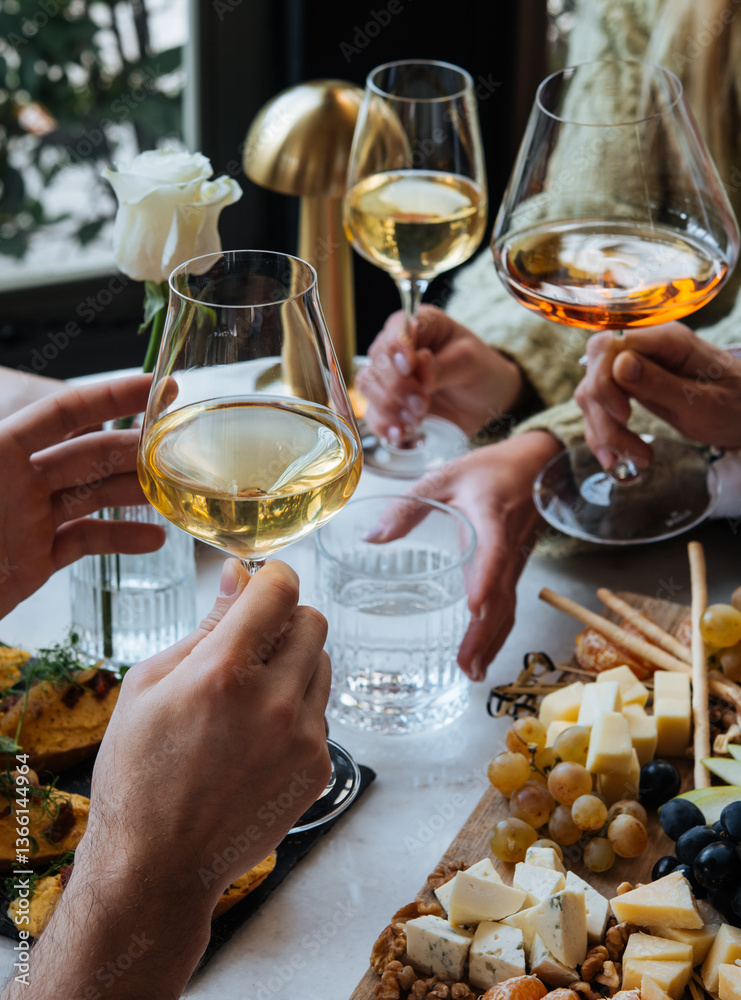 Friends having a dinner party with different kinds of appetizers and wine.