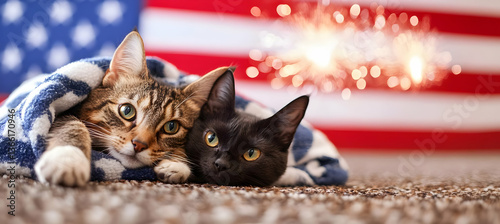 Two adorable cats snuggle together under a blanket, with a blurred American flag and fireworks in the background.  Perfect patriotic image!
