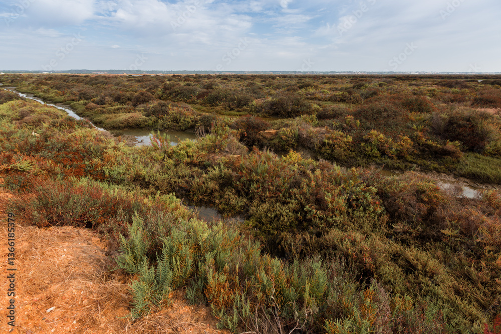 Fototapeta premium Marismas del Duque rio Guadalquivir