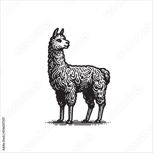 Simple Llama Standing Vector Icon – Vintage Logo & Retro Illustration