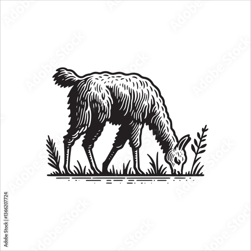 Simple Llama Grazing Vector Icon – Vintage Logo & Retro Illustration