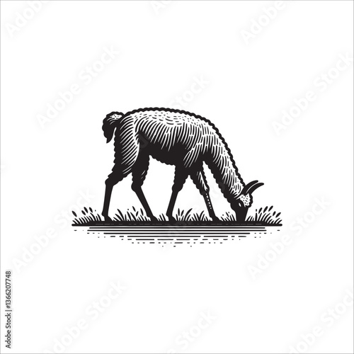 Simple Llama Grazing Vector Icon – Vintage Logo & Retro Illustration