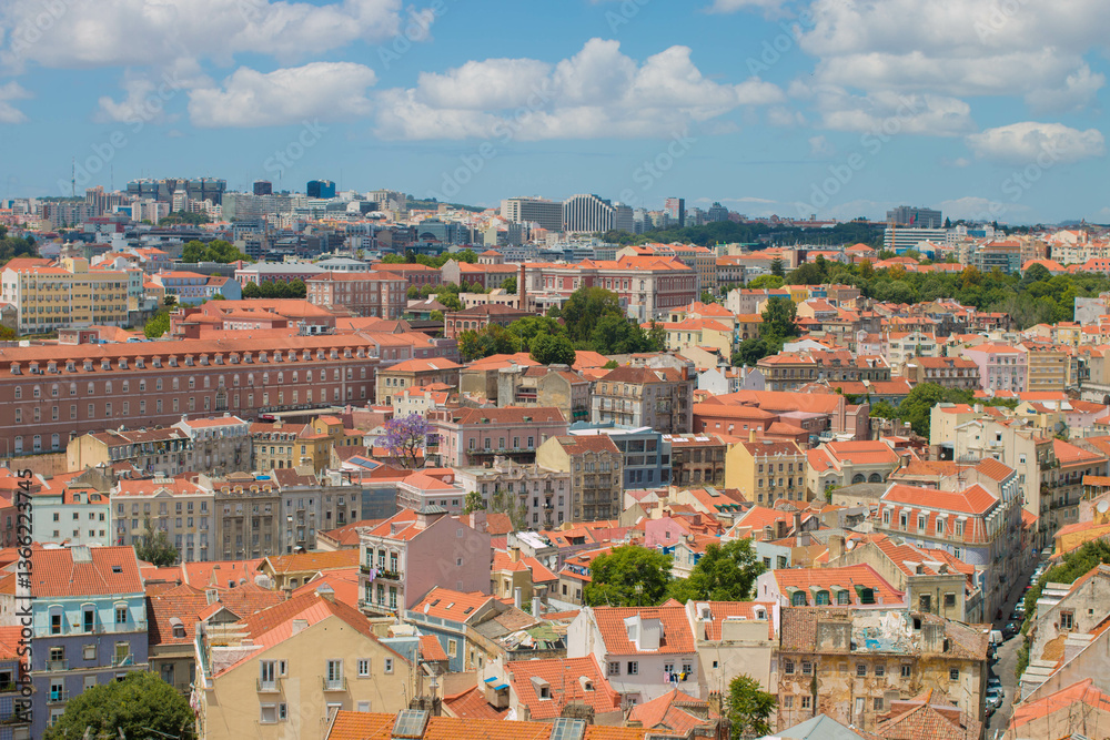 Obraz premium Lioba vista desde un mirador