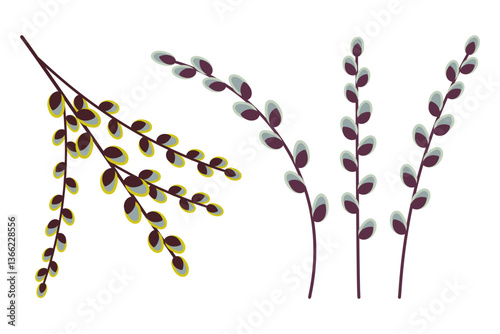 Pussy willow branches - spring natural decor set isolated on white