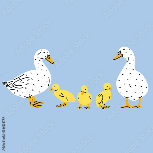 Flat style vector illustration of a duck family with drake, duck, and three ducklings. Simple cartoon design, isolated background. Spring themes, children’s projects, stickers, icons, farm animal bird