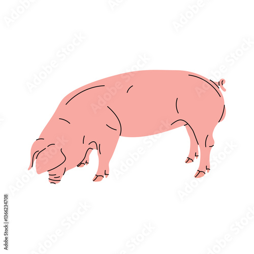 Cute flat pig illustration – cartoon farm animal vector. Kids' materials, posters, stickers, web design, and nursery art,  farm-themed. Vector image of a smiling pink pig in a flat cartoon style. 