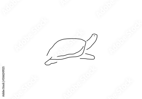 line art illustration representing a turtle, symbolizing longevity, patience