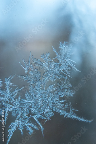 Natural frost pattern on a window. Frost patterns. Icy window in the winter.