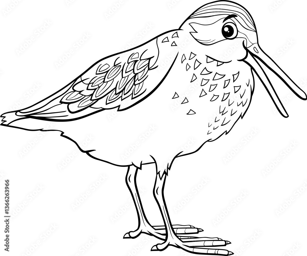 cartoon western sandpiper bird wild animal character coloring page